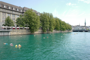 zls 2023 limmat  