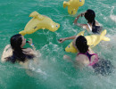 l1070007 l1070007