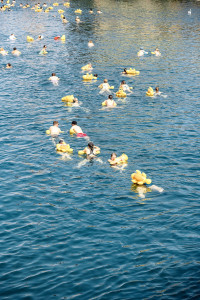 event  limmat 2026 