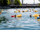 event  limmat 2026 