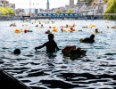 event  limmat 2026 