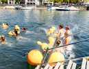 event  limmat 2026 