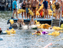 event  limmat 2026 