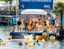 event  limmat 2026 