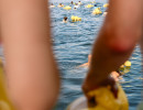 event  limmat 2026 
